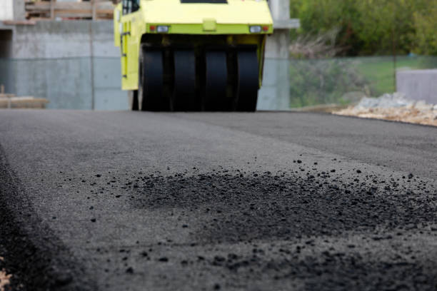 Best Residential Paver Driveway  in Tucumcari, NM
