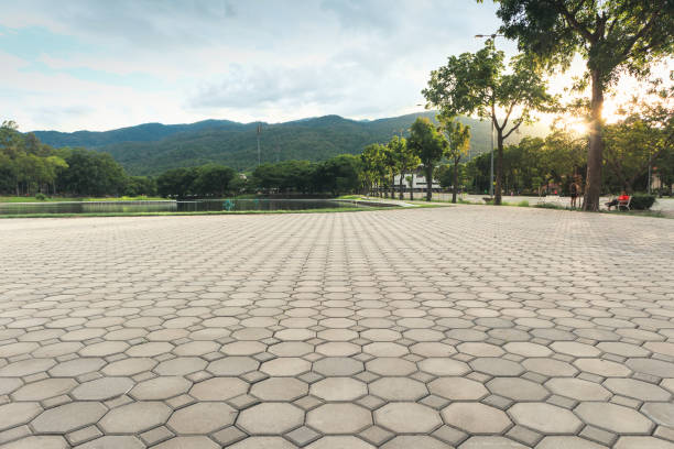 Best Interlocking Driveway Pavers  in Tucumcari, NM