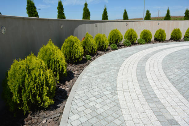 Best Professional Driveway Pavers  in Tucumcari, NM