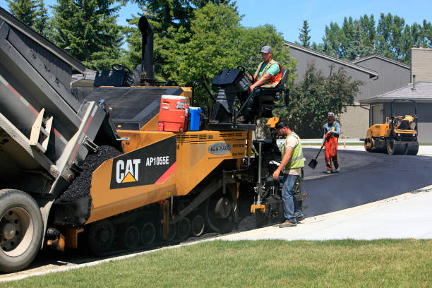 Best Decorative Driveway Pavers  in Tucumcari, NM